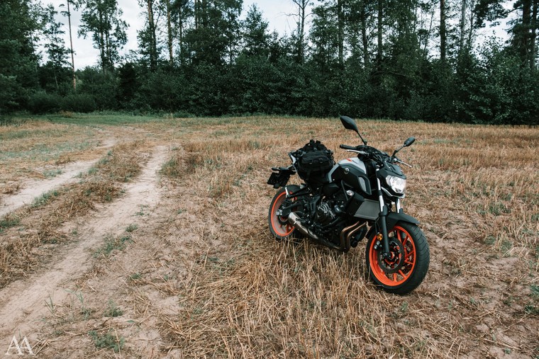 Cover image for Country Side